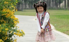 无颜之月哪一集开车了